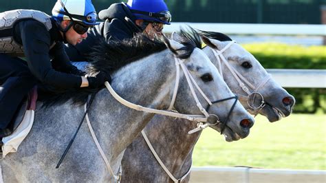 TwinSpires Blog: Show me the carryovers!.